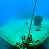 Picture taken during the dive