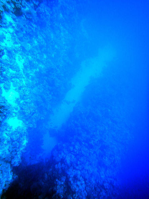 Sharks Bay Umbi Diving Village - Dive Center in Egypt