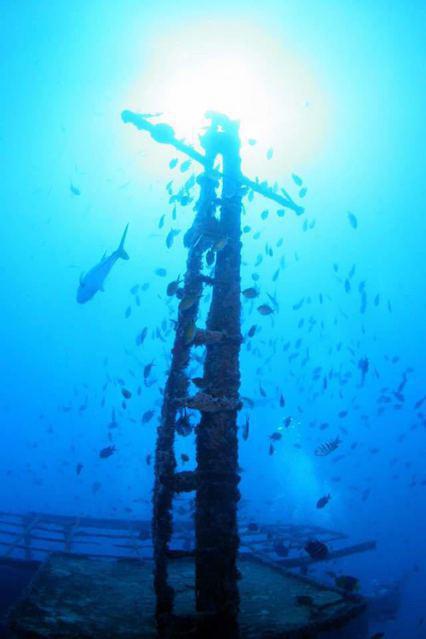 Aica Diving - Dive Center