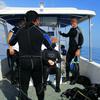 Picture taken during the dive
