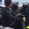 Picture taken during the dive