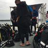 Picture taken during the dive
