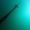 Picture taken during the dive