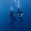 Picture taken during the dive