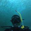 Picture taken during the dive