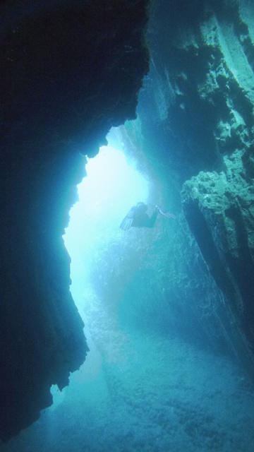 BUCEO CANARIAS - Dive Center in Spain