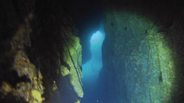 BUCEO CANARIAS - Dive Center in Spain