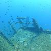 Picture taken during the dive