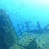 Picture taken during the dive