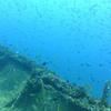Picture taken during the dive