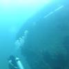 Picture taken during the dive