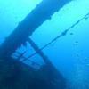 Picture taken during the dive