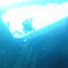 Picture taken during the dive