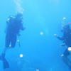 Picture taken during the dive