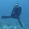 Picture taken during the dive