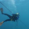 Picture taken during the dive