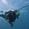 Picture taken during the dive