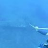 Picture taken during the dive