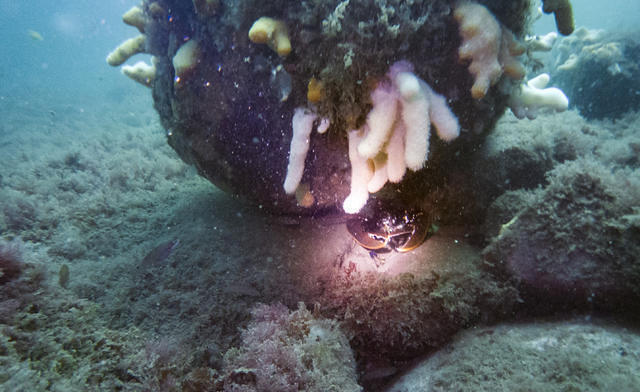 Dive Team - Dive Center in Sweden