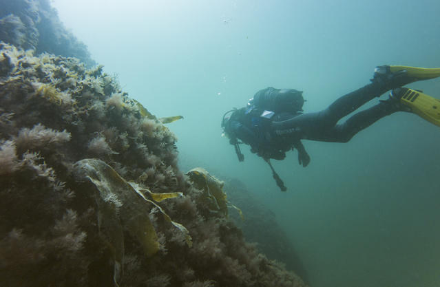 Dive Team - Dive Center in Sweden