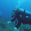 Picture taken during the dive