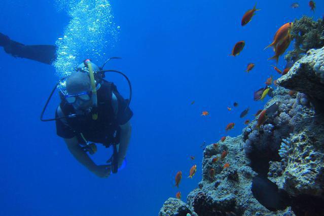 Aquarius Diving Club - Dive Center