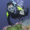 Picture taken during the dive