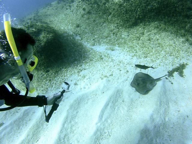 Sunset House - Dive Center in 开曼群岛