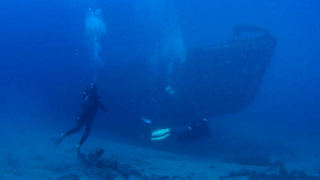 Lavandou Plongee - Dive Center in France