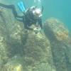 Picture taken during the dive