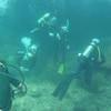 Picture taken during the dive