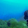 Picture taken during the dive
