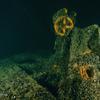 Picture taken during the dive