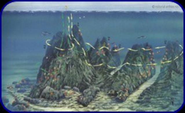 Triton-Diving - Dive Center in Espagne