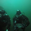 Picture taken during the dive