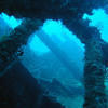 Picture taken during the dive