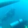 Picture taken during the dive