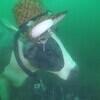 Picture taken during the dive
