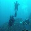 Picture taken during the dive