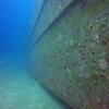 Picture taken during the dive