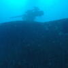 Picture taken during the dive