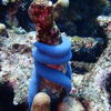 Picture taken during the dive