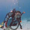 Picture taken during the dive