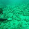 Picture taken during the dive