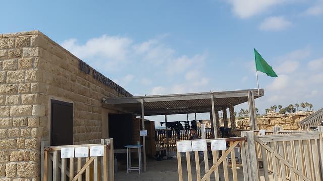 Old Caesarea Diving Center - Dive Center in Israel