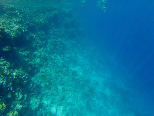 Dive In Sharm - Dive Center in Egypt
