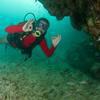 Picture taken during the dive