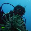 Picture taken during the dive