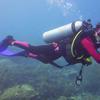 Picture taken during the dive
