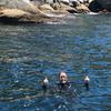 Picture taken during the dive